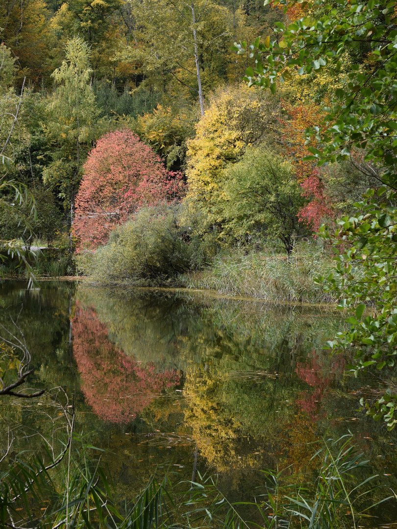 Die Farbe des Herbstes - am Weiher.