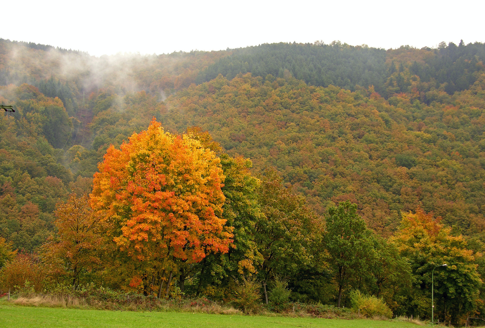 Die Farbe des Indian Summer