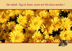 DIE FARBE GELB