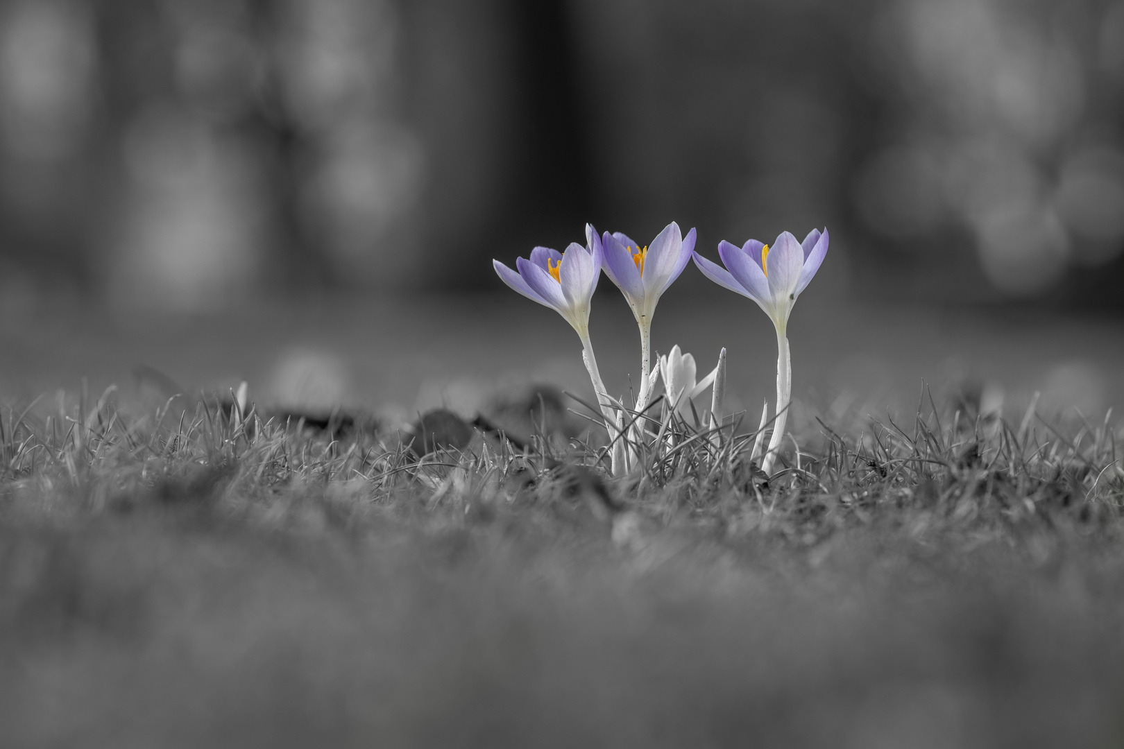 Die Farbe kehrt langsam in die Natur zurück!!!