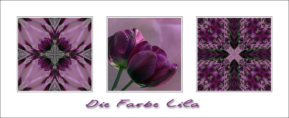 Die Farbe Lila