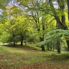 Die Farben ändern sich | Thüringer Wald