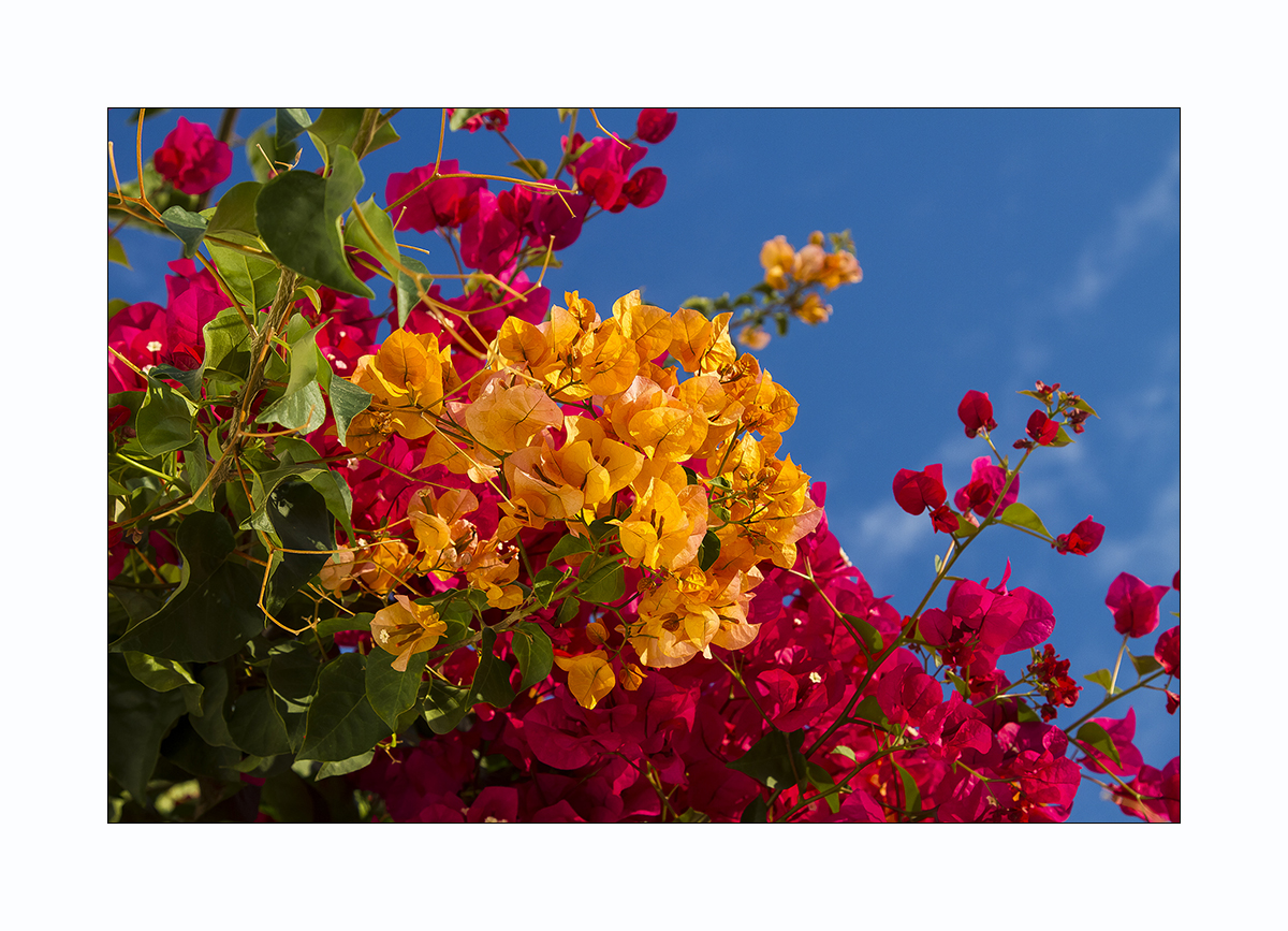 die Farben Andalusiens