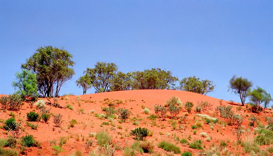 Die Farben Australiens