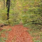 Die Farben den Herbstes brauchen sich denen des Sommers nicht zu verstecken