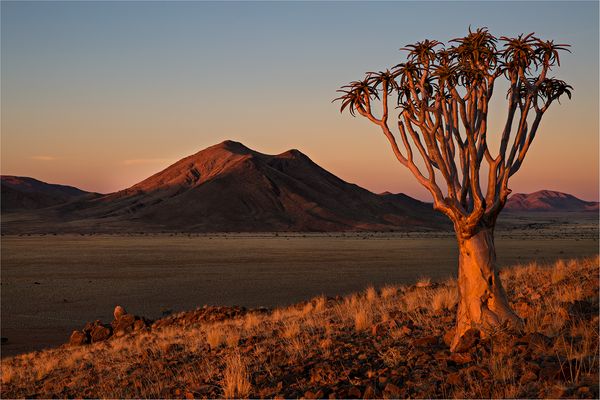 Die Farben der Abendsonne