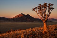 Die Farben der Abendsonne