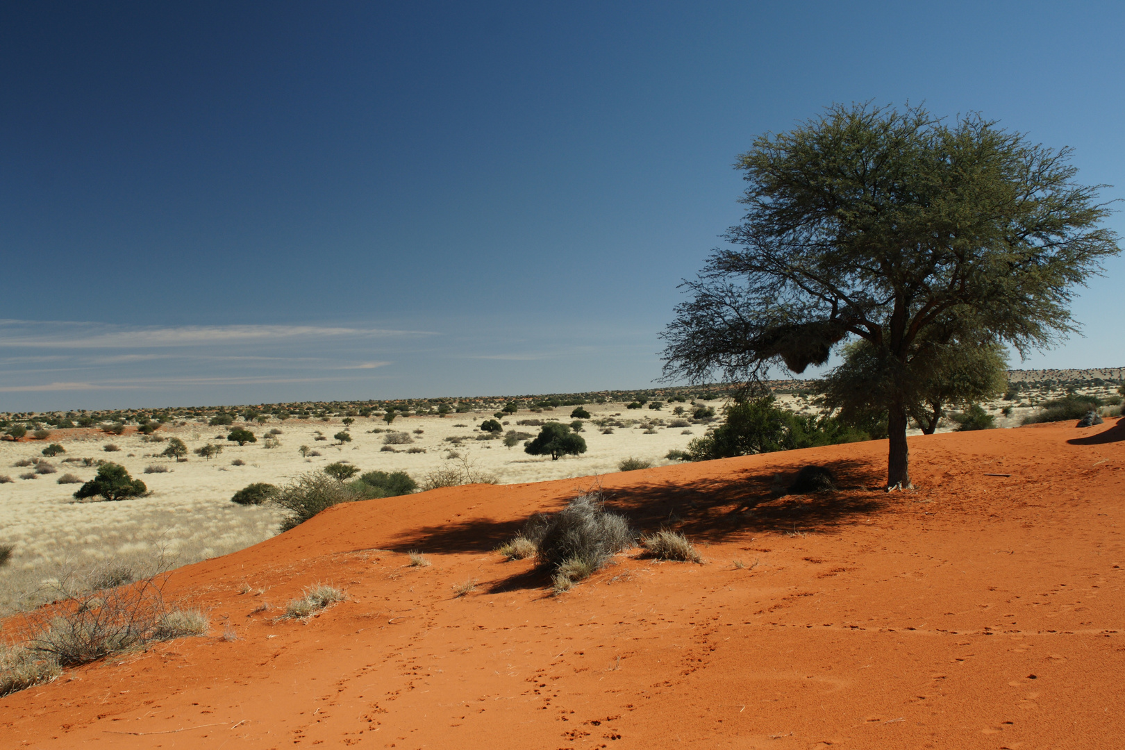 Die Farben der Kalahari