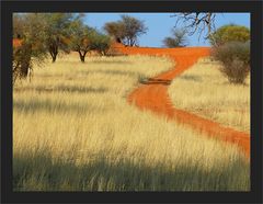 Die Farben der Kalahari