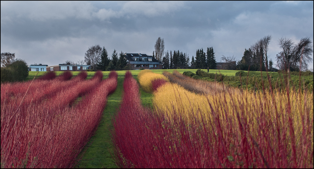 Die Farben der Landschaft