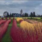 Die Farben der Landschaft