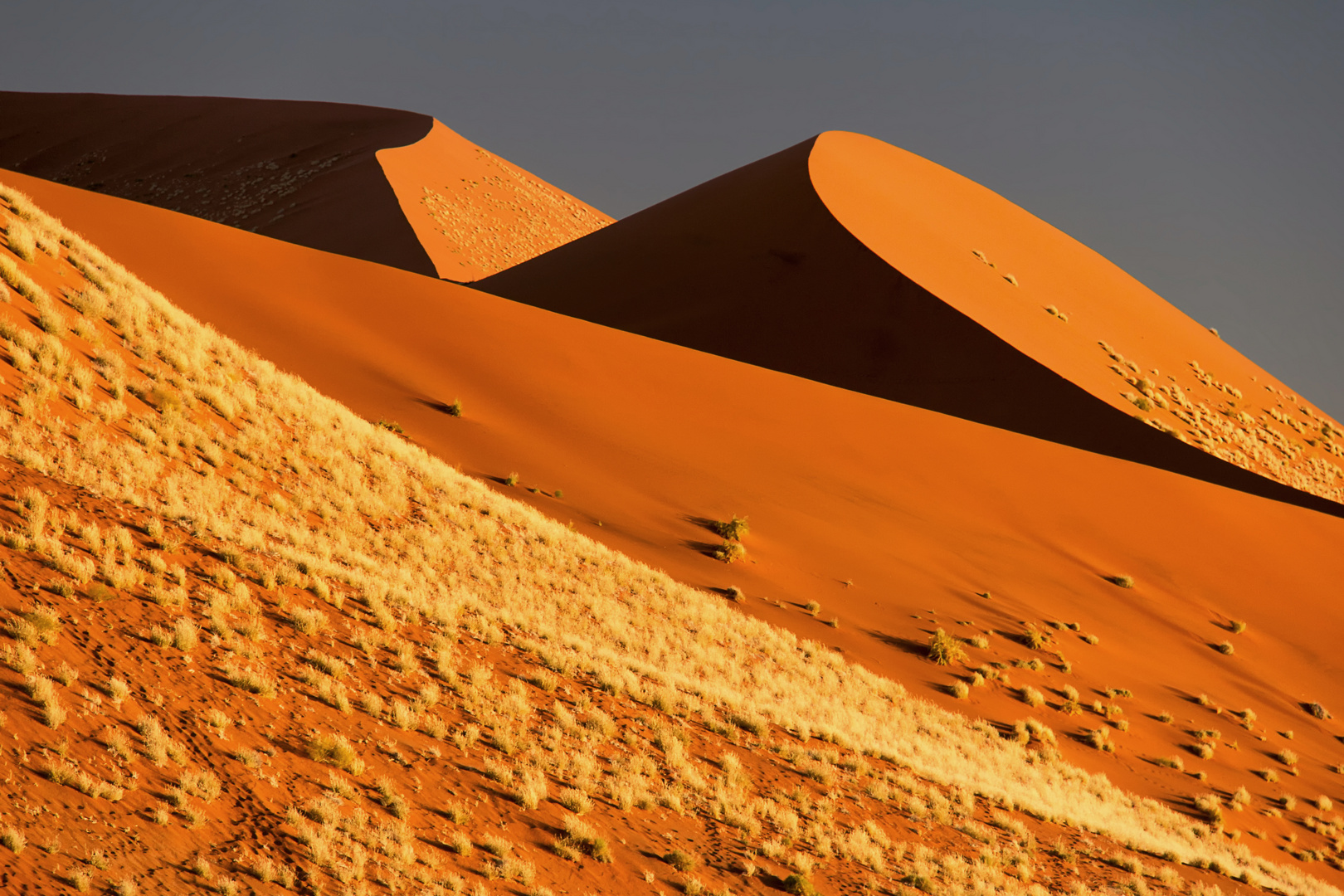 Die Farben der Namib