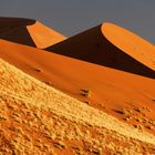 Die Farben der Namib