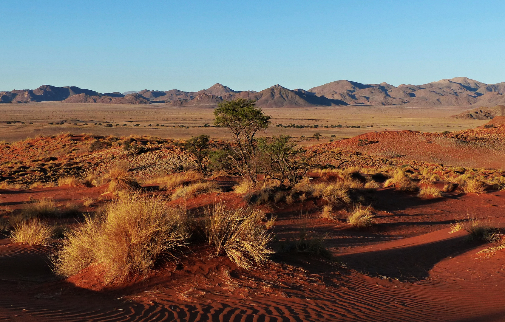 Die Farben der Namib