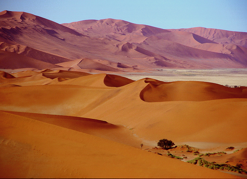 Die Farben der Namib