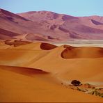Die Farben der Namib