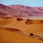 Die Farben der Namib