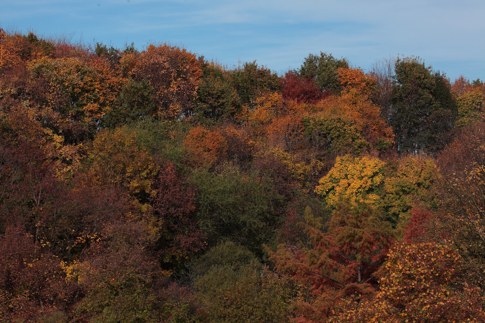 die Farben der Natur