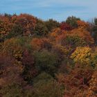 die Farben der Natur