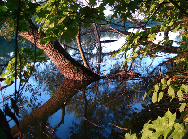 Die Farben der Natur