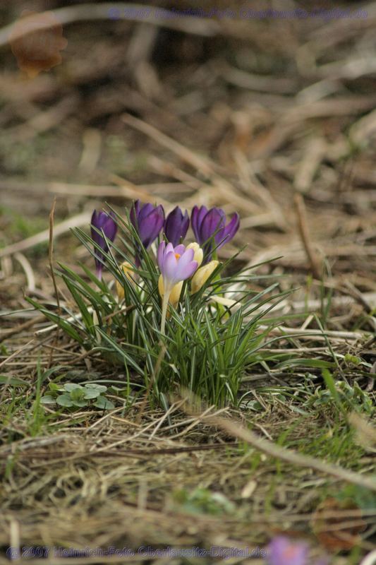 die Farben der Natur