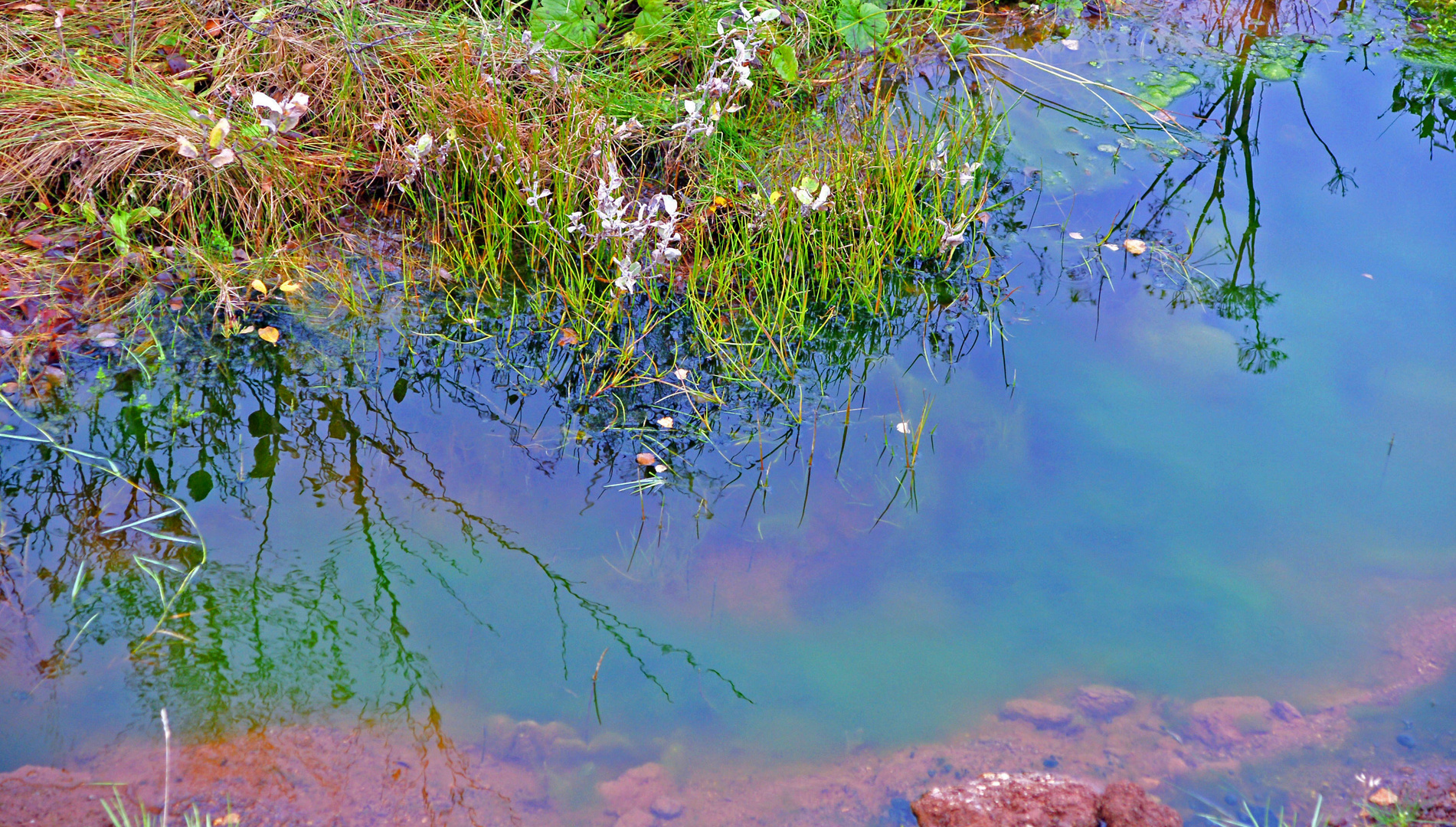 die Farben der Natur