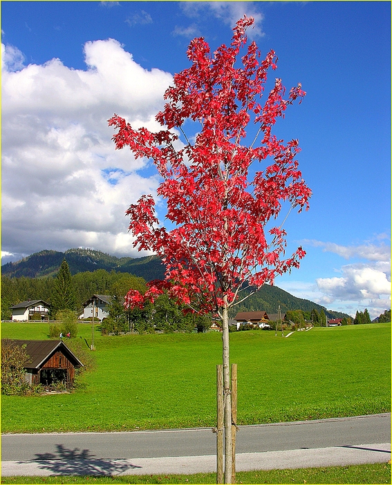 Die Farben der Natur