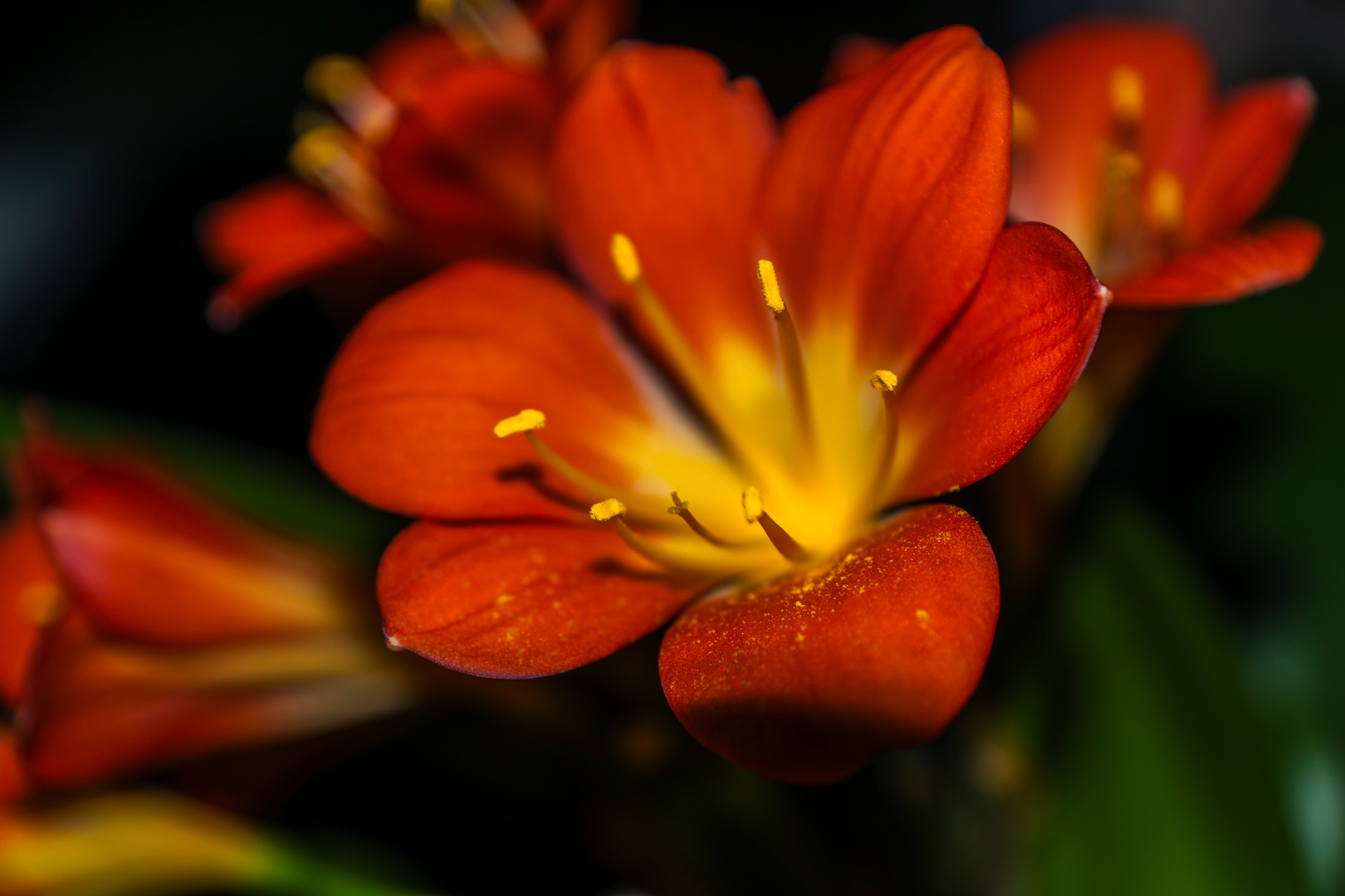 Die Farben der Natur