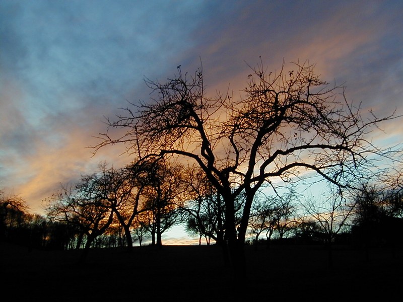 Die Farben der Natur