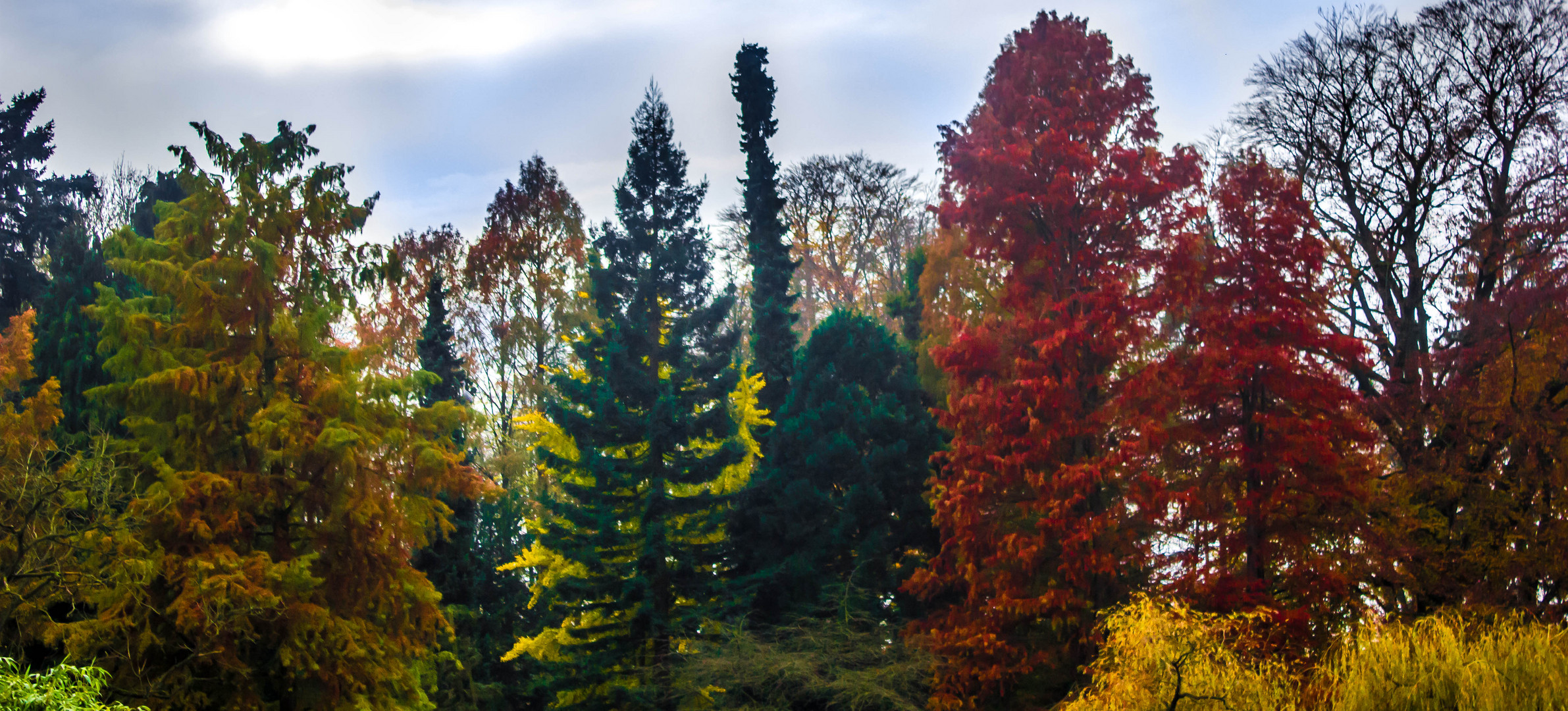 Die Farben der Natur