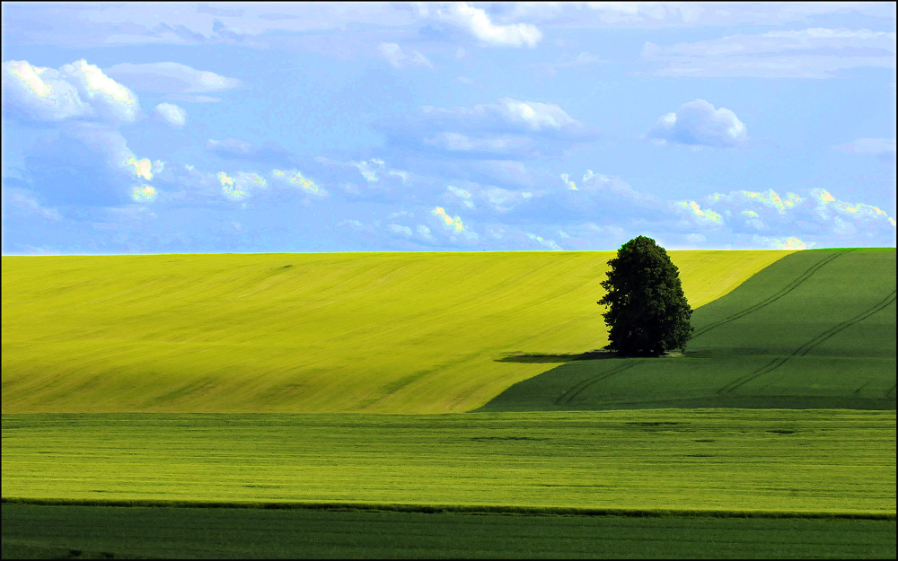 Die Farben der Natur