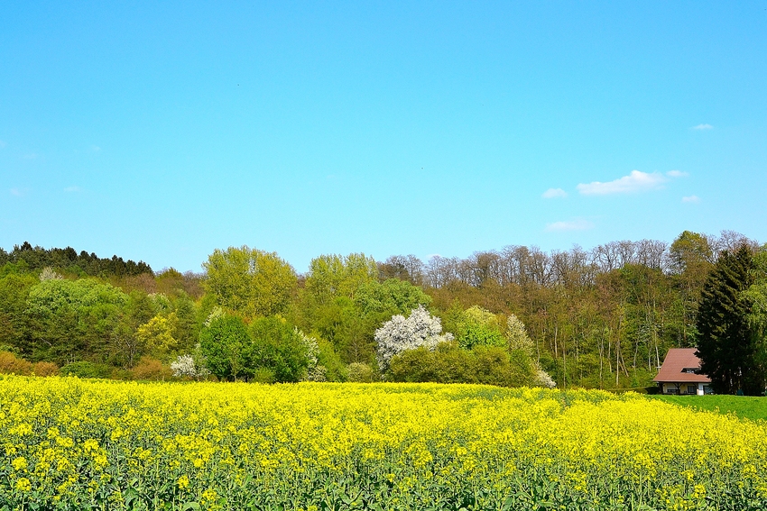 Die Farben der Natur