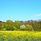 Die Farben der Natur