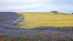 die Farben der Natur ...