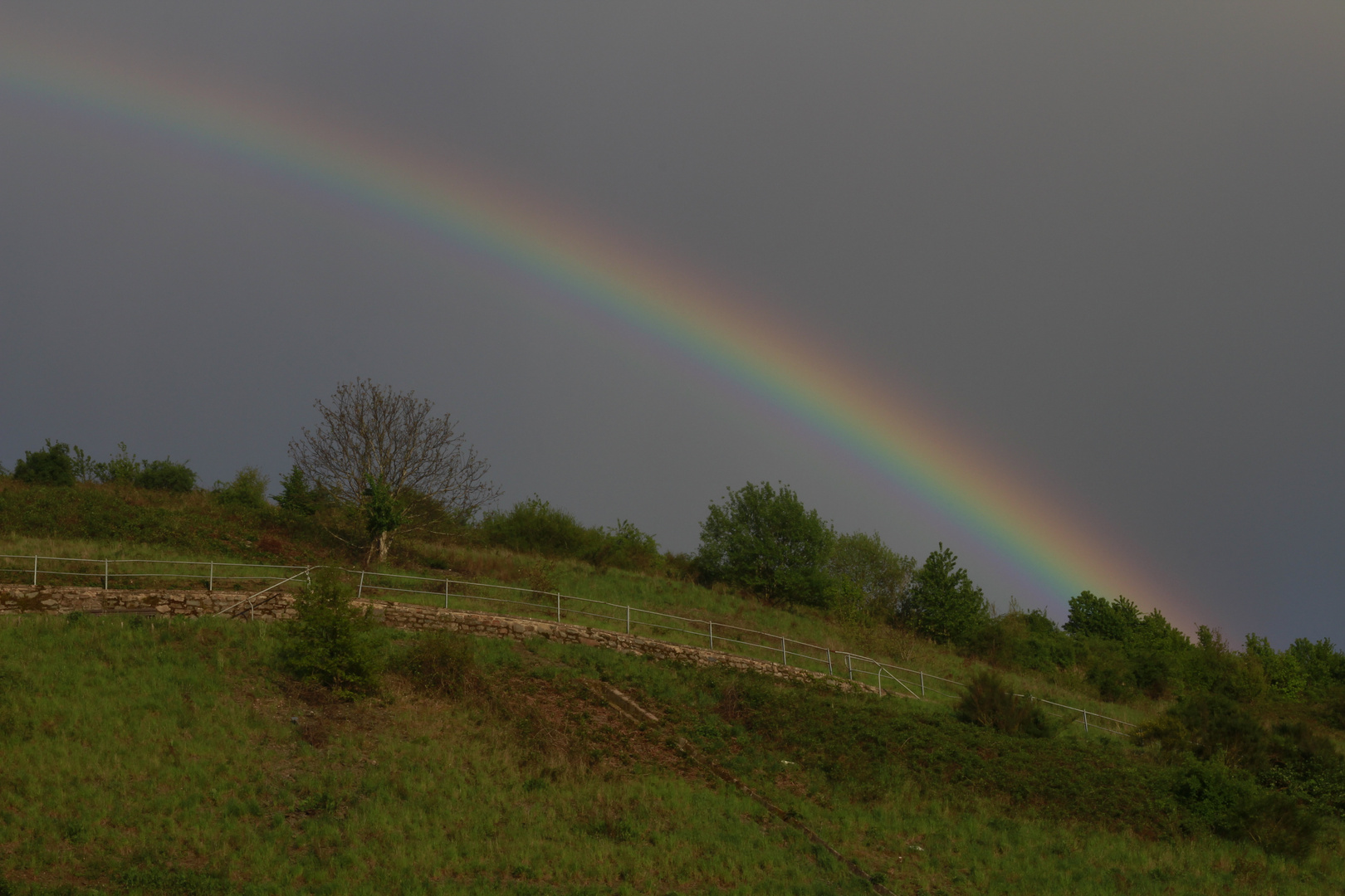 Die Farben der Natur