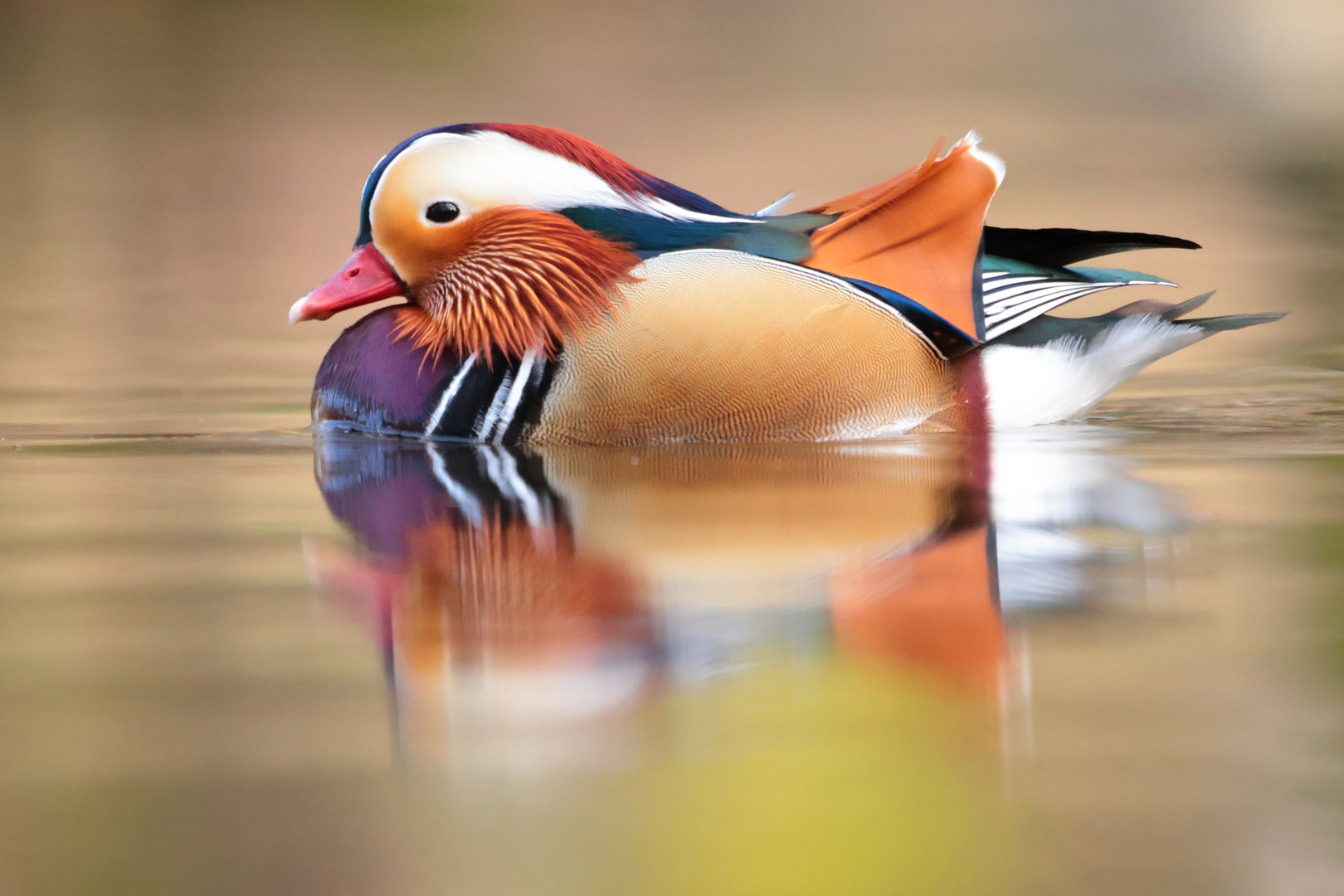 Die Farben der Natur erstrahlen...