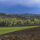 die Farben der Natur wieder aufgefrischt - nach dem Regen