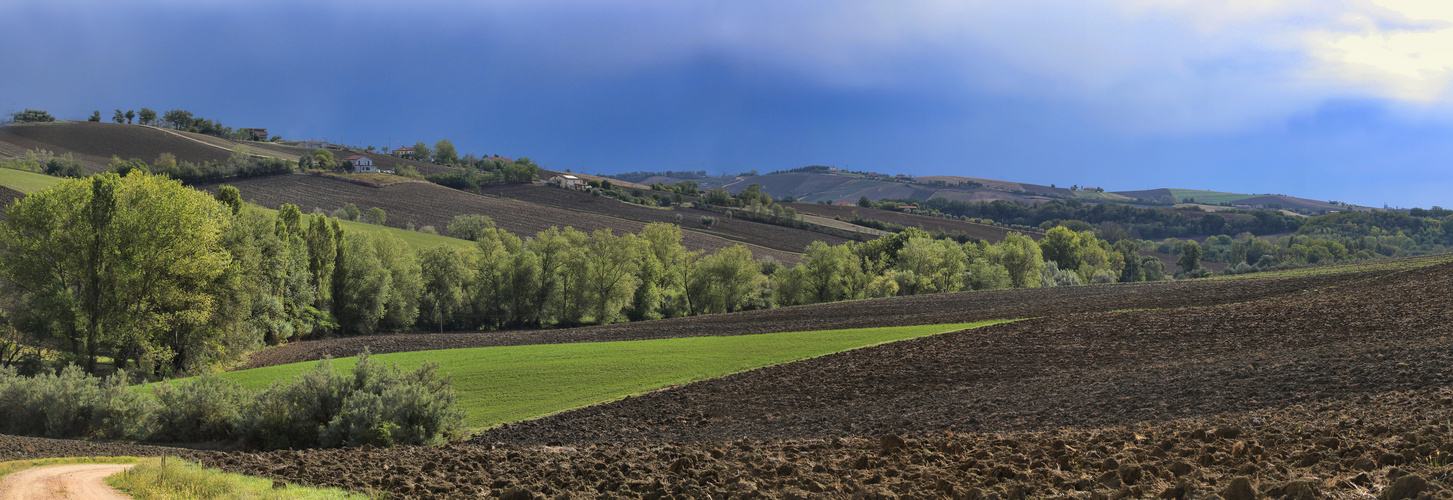 die Farben der Natur wieder aufgefrischt - nach dem Regen