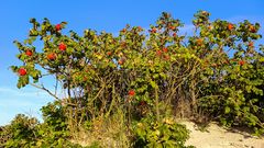 die farben der ostsee