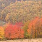 Die Farben der Pfalz Ende Oktober 1