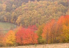 Die Farben der Pfalz Ende Oktober 1