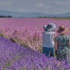 Die Farben der Provence