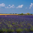 Die Farben der Provence XIX