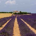 Die Farben der Provence XX