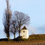 Die Farben der Weinberge (2)