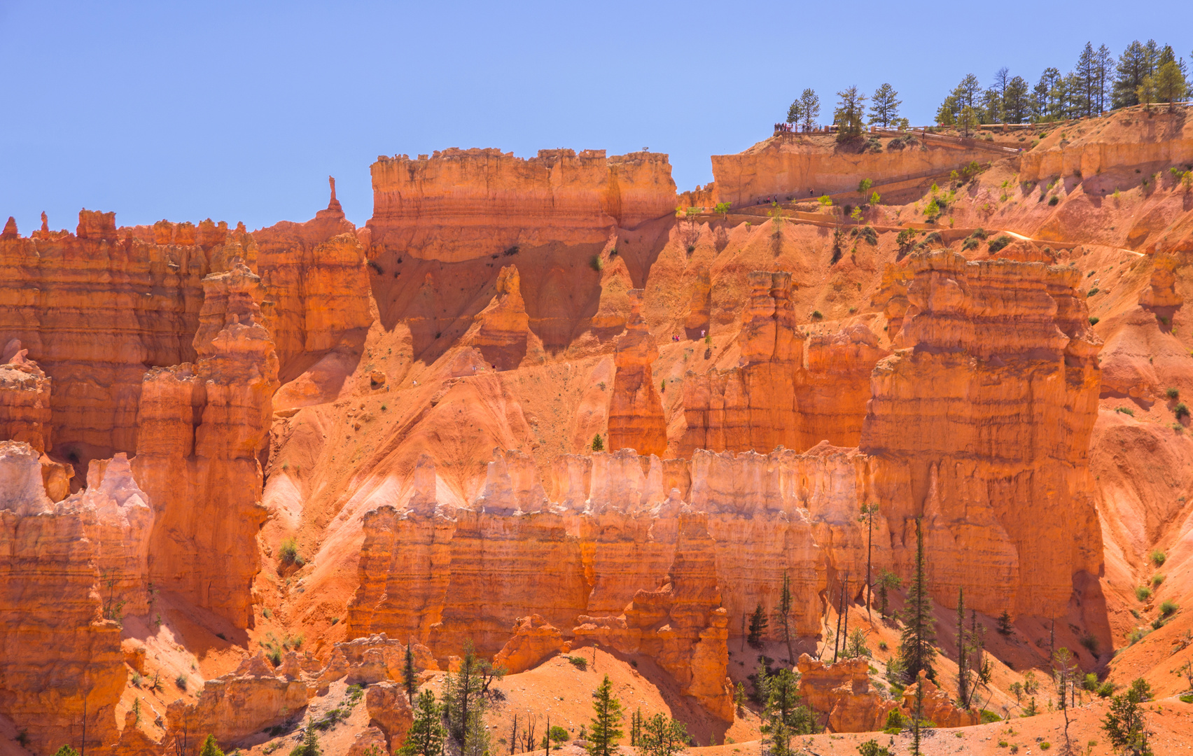 Die Farben des Bryce Canyon