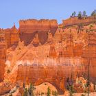 Die Farben des Bryce Canyon
