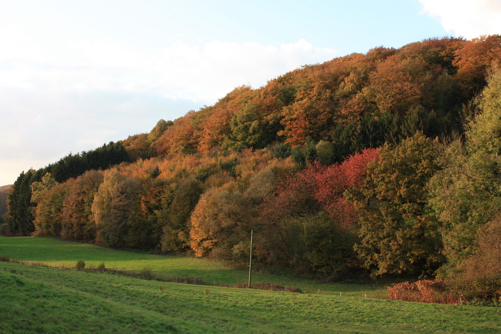 Die Farben des einen Künstlers