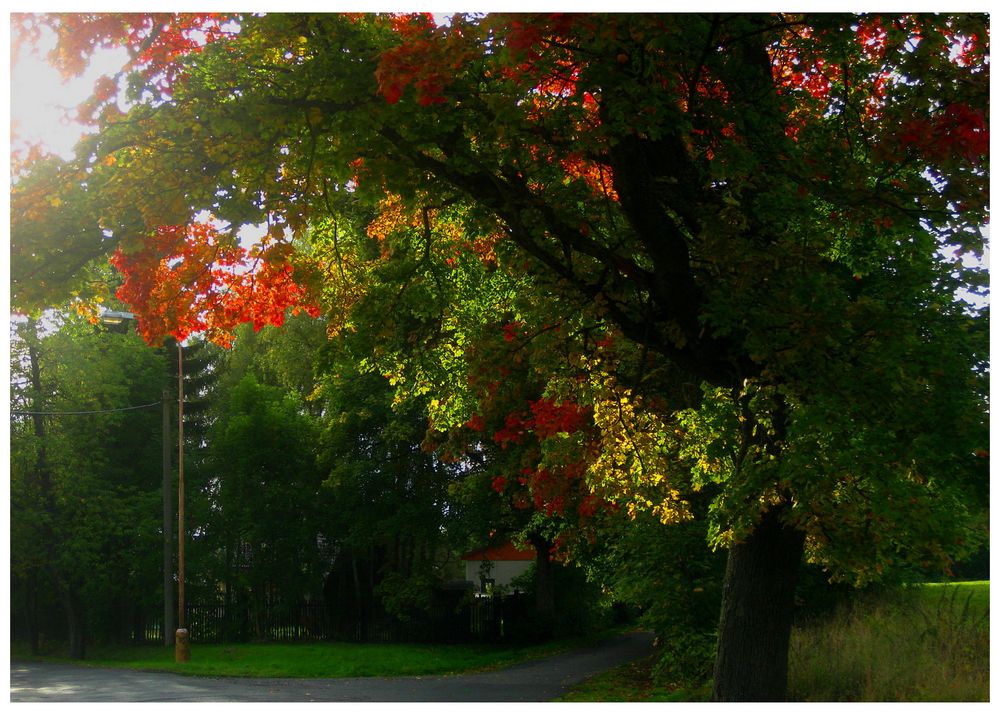 Die Farben des frühen Herbstes