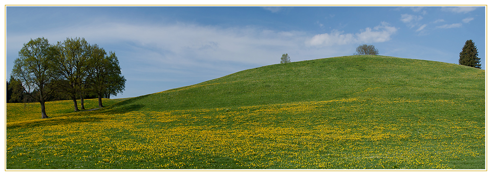 die Farben des Frühjahrs